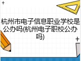 杭州市电子信息职业学校是公办吗(杭州电子职校公办吗)