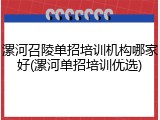 漯河召陵单招培训机构哪家好(漯河单招培训优选)