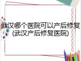 武汉哪个医院可以产后修复(武汉产后修复医院)
