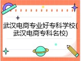 武汉电商专业好专科学校(武汉电商专科名校)