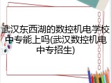 武汉东西湖的数控机电学校中专能上吗(武汉数控机电中专招生)