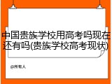 中国贵族学校用高考吗现在还有吗(贵族学校高考现状)