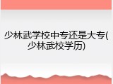 少林武学校中专还是大专(少林武校学历)
