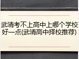 武清考不上高中上哪个学校好一点(武清高中择校推荐)