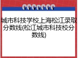 城市科技学校上海松江录取分数线(松江城市科技校分数线)