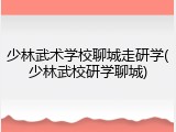 少林武术学校聊城走研学(少林武校研学聊城)