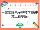 王者荣耀电子竞技学校(电竞王者学院)
