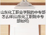 山东化工职业学院的中专部怎么样(山东化工职院中专部如何)