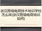 武汉跨境电商技术培训学校怎么样(武汉跨境电商培训如何)