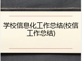 学校信息化工作总结(校信工作总结)