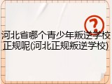 河北省哪个青少年叛逆学校正规呢(河北正规叛逆学校)