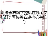 阿拉善右旗学挖机在哪个学校好("阿拉善右旗挖机学校")