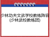 少林功夫文武学校教练阵容(少林武校教练团)
