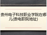 贵州电子科技职业学院在哪儿(贵电职院地址)