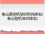 鲁山县挖机培训机构排名(鲁山挖机培训排名)