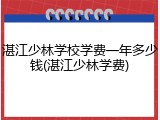 湛江少林学校学费一年多少钱(湛江少林学费)