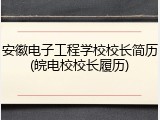 安徽电子工程学校校长简历(皖电校校长履历)