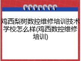 鸡西梨树数控维修培训技术学校怎么样(鸡西数控维修培训)