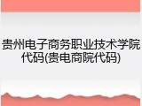 贵州电子商务职业技术学院代码(贵电商院代码)