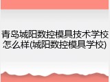 青岛城阳数控模具技术学校怎么样(城阳数控模具学校)