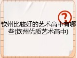 钦州比较好的艺术高中有哪些(钦州优质艺术高中)