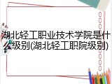 湖北轻工职业技术学院是什么级别(湖北轻工职院级别)