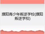 濮阳青少年叛逆学校(濮阳叛逆学校)