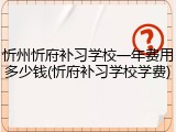 忻州忻府补习学校一年费用多少钱(忻府补习学校学费)
