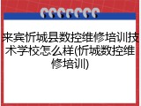 来宾忻城县数控维修培训技术学校怎么样(忻城数控维修培训)