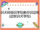 训犬师培训学校教你训边牧(边牧训犬学校)