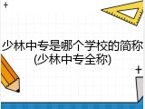 少林中专是哪个学校的简称(少林中专全称)