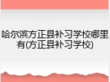 哈尔滨方正县补习学校哪里有(方正县补习学校)