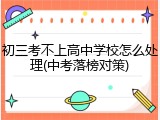 初三考不上高中学校怎么处理(中考落榜对策)