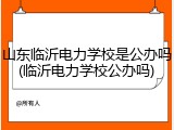 山东临沂电力学校是公办吗(临沂电力学校公办吗)