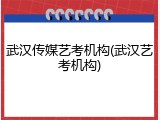 武汉传媒艺考机构(武汉艺考机构)