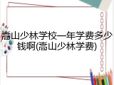嵩山少林学校一年学费多少钱啊(嵩山少林学费)