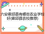 六安霍邱县有哪些农业学校好(霍邱县农校推荐)