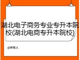 湖北电子商务专业专升本院校(湖北电商专升本院校)