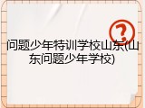 问题少年特训学校山东(山东问题少年学校)