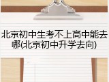 北京初中生考不上高中能去哪(北京初中升学去向)