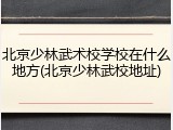 北京少林武术校学校在什么地方(北京少林武校地址)