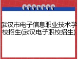武汉市电子信息职业技术学校招生(武汉电子职校招生)
