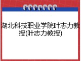 湖北科技职业学院叶志力教授(叶志力教授)
