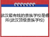 武汉最有钱的贵族学校是哪所(武汉顶级贵族学校)
