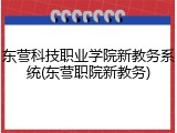 东营科技职业学院新教务系统(东营职院新教务)