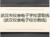 武汉市仪表电子学校录取线(武汉仪表电子校分数线)