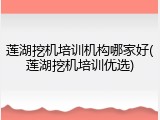 莲湖挖机培训机构哪家好(莲湖挖机培训优选)
