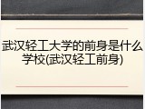 武汉轻工大学的前身是什么学校(武汉轻工前身)
