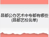 昌都公办艺术中专都有哪些(昌都艺校名单)