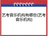 艺考音乐机构有哪些(艺考音乐机构)